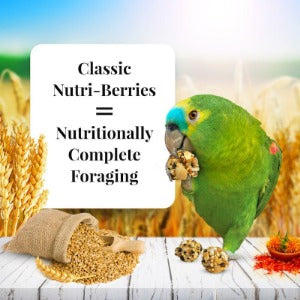 Lafeber Classic Nutri-berries