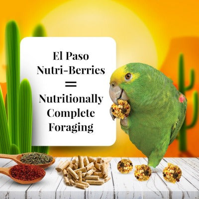 Lafeber El Paso Nutri-berries