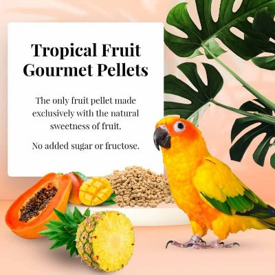 Lafeber Tropical Fruit Gourmet Pellets