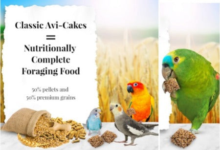 Thức ăn cho vẹt cỡ lớn Lafeber Fruit Delight Avi-Cakes Large Bird Food |  VIETPET