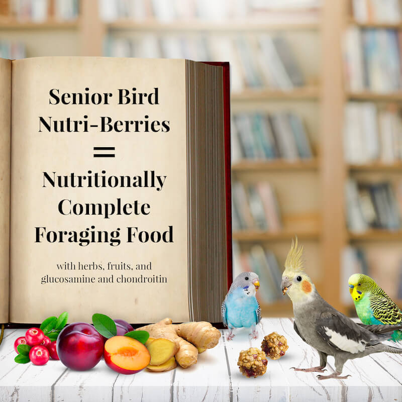 Lafeber Senior Bird Nutri-Berries 