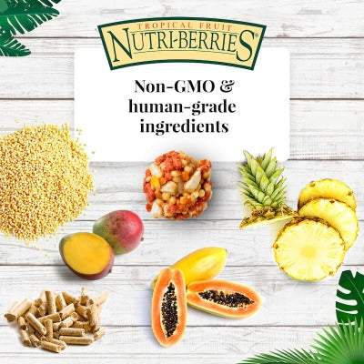 Lafeber Tropical Fruit Nutri-berries non-GMO human grade ingredients