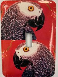 African Grey Parrot Single Light Switch Cover