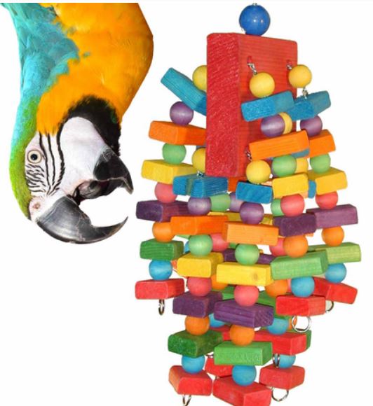 Beakasauras Bird Toy