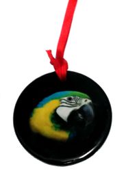 Blue and Gold Macaw Ornament