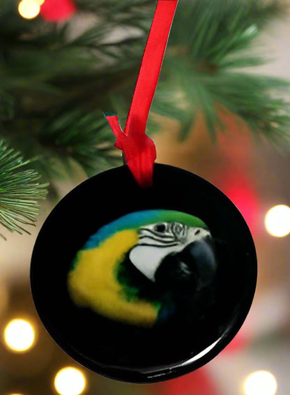 Blue and Gold Macaw Ornament