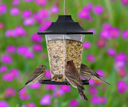 Carriage Bird Feeder