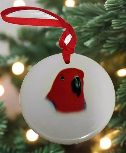 Female Eclectus Ornament