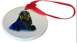 Hyacinth Macaw Porcelain Ornament