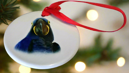 Hyacinth Macaw Porcelain Ornament