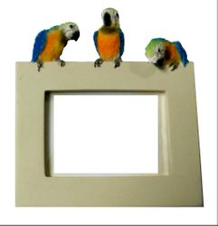 Macaw 2x3 Frame