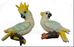 Yellow Crested Cockatoos