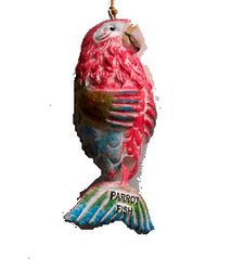 Parrot Fish Ornament