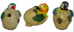 Parrot Hatchlings
