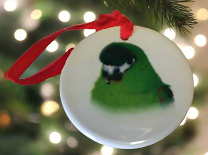 Porcelain Mini Macaw Ornament