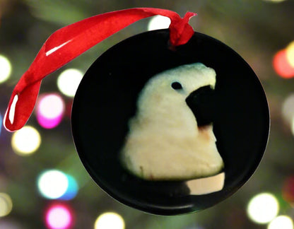 Porcelain Moluccan Cockatoo