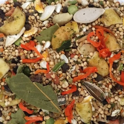 Sample Rainforest Exotics Cockatiel Bird Seed