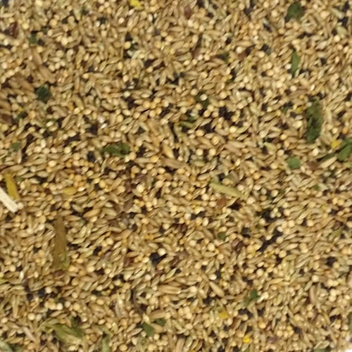 Sample Sweet Harvest Canary Seed Mix
