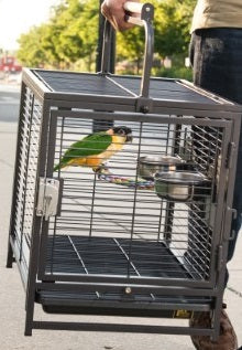 Travel Cage Carrier